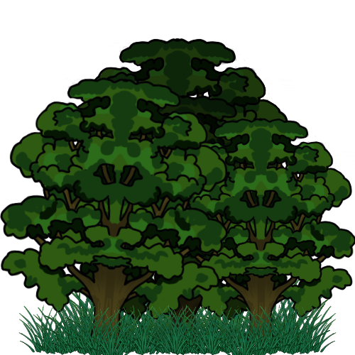 A drawing of several oak trees overlaid with one another, with grass around the trunks.